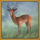 임팔라