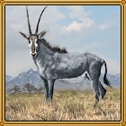 블루백