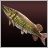 꼬치고기